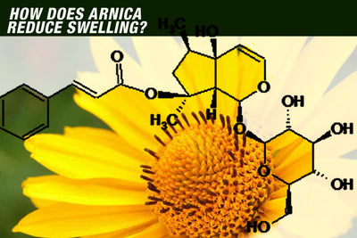 How does Arnica Reduce Swelling?